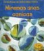 Vidrio / Glass : Miremos Unas Canicas / Let's Look at a Marble cover