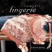 A Passion For Lingerie cover