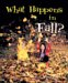  What Happens in Fall?