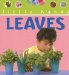 Leaves cover