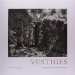 Vestiges : Martin Blume & Douglas I. Busch cover