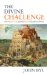 The Divine Challenge : On Matter, Mind, Math & Meaning cover
