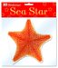 Bathtime Sea Star cover
