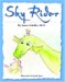 Sky Rider cover