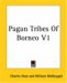 The Pagan Tribes of Borneo cover