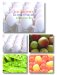Ina Garten's Barefoot Contessa Farm Stand cover