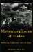 Metamorphoses of Helen : Authority, Difference, and the Epic cover
