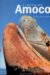 L'affaire Amoco cover