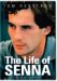 Life of Senna : Formula 1 Superstar cover