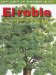 Roble/oak Tree : Por Dentro Y Por Fuera / Inside And Out cover