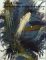 Arnulf Rainer : Ausloschung Und Inkarnation cover