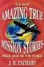 Amazing True Mission Stories : The Best from Around the World cover
