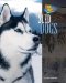 Sled Dogs cover