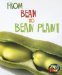 From Bean to Bean Plant cover