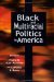 Black and Multiracial Politics in America cover