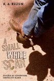 A Small White Scar [Click for larger image]