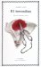 El Inmoralista / The Immoralist cover