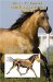 The Equus Illustrated Handbook of Equine Anatomy : The Musculoskeletal System  Anatomy of Movement and Locomotion cover