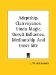 Adeptship, Clairvoyance, Hindu Magic, Occult Influence, Mediumship and Inner Site cover