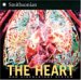  Heart: Our Circulatory System
