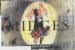 Midges in Scotland cover