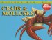 Crabs & Mollusks cover