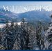 Whistler cover