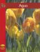 Agua cover