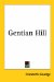 Gentian Hill cover