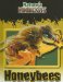 Honeybees cover