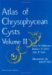 Atlas of Chrysophycean Cysts