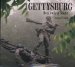 Gettysburg : Sentinels of Stone cover