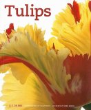 Tulips [Click for larger image]