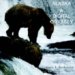 Alaska : A Digital Odyssey cover