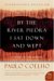 By the River Piedra I Sat Down and Wept : A Novel of Forgiveness cover