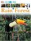 The Rainforest: What Is It Like?