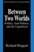  Between Two Worlds: Politics, Anti-Politics, and the Unpolitical