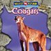 Cougars cover