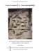 Lucas Cranach D.A, Einweihungsbilder : Die Verborgene Geometrie Erlaubt Die Zuschreibung Des 'Externstein-Reliefs' an Lucas Cranach D.A.  Mit Einem Aufsatz der Ubergang Von Troja Nach Rom - in Der Verborgenen Geometrie Des Verlorenen Sohnes Von Hieronymus Bosch 1510 cover