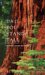 Dad, You Stand Tall cover