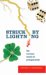 Struck by Lightning : The Curious World of Probabilities cover