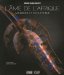 L'ame De L'Afrique : Masques Et Sculptures cover