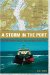 A Storm in the Port : Keeping the Port of New York And New Jersey Open cover