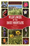 Wildflowers of the Rocky Mountains [Click for larger image]