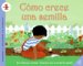  Como crece una semilla/How a Seed Grows