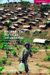 Protracted Refugee Situations : Domestic And International Security Implications cover