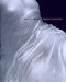 Karen LaMonte : Absence Adorned cover