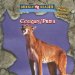 Cougars/puma : Animals That Live in the Mountains / Animales De Las Montanas cover