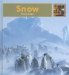 Snow cover