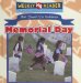 Memorial Day/dia De Los Caidos cover